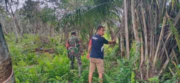 Patroli Karhutla Bagan Melibur, Babinsa dan Warga Kelapangan 