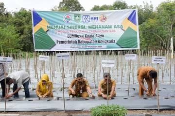 Memulai Ketahanan Pangan dari Rumah Sendiri