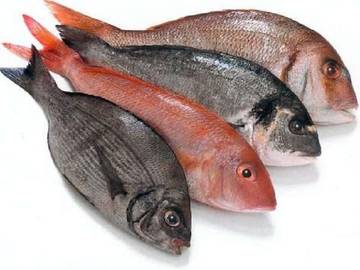 Kenali Perbedaan Ikan Segar vs Ikan Berformalin