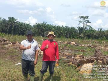 Bengkalis Terima PSR Seluas 367 Hektare Tahun 2025