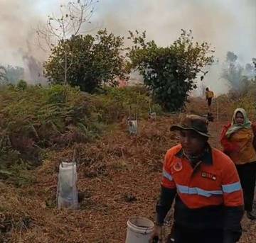Cuaca Ekstrem, Karhutla Kabupaten Bengkalis Capai 110 Hektare