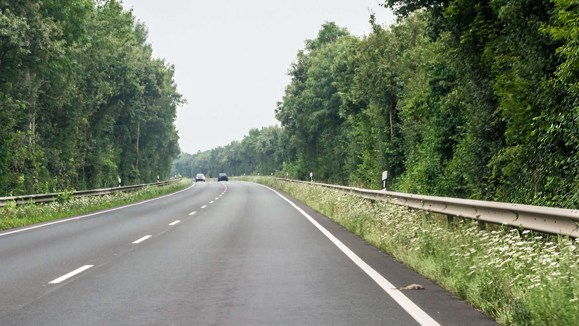 Jalan Rusak, Kenali Jenis Jalan dan Kewenangannya! - RRI.co.id