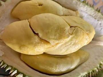 Benarkah Minum Dengan Wadah Kulit Durian Cegah Mabuk?