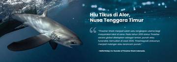 Program Alternatif Nelayan Alor Selamatkan Hiu Tikus