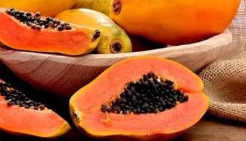 Makan Pepaya Setiap Hari? Ini Manfaat untuk Tubuh!