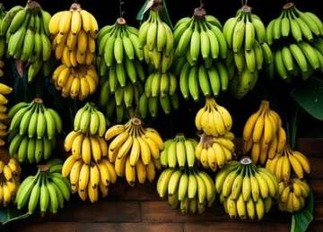 Pisang yang Mengakar di Budaya dan Kuliner Indonesia