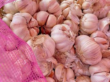Manfaat Makan Bawang Putih untuk Kesehatan Tubuh