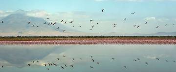 Mineral Unik Danau Natron di Tanzania 