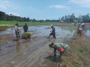 Petani Enggano Butuh Pupuk Subsidi