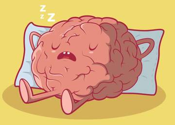 Otak Lebih Aktif Saat Tidur?