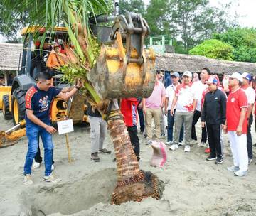 Kelapa Tumbuh Perkasa di Tepi Ombak Pantai Tropis