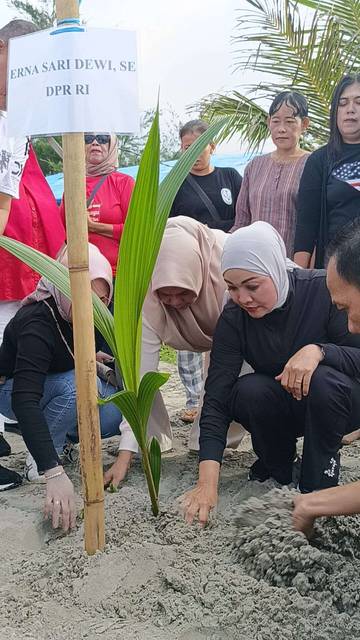Legislator Erna Tanam Kelapa dan Ajak Jaga Pantai 
