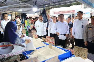 Mentan Pastikan Stok Beras Melimpah, Tanpa Impor
