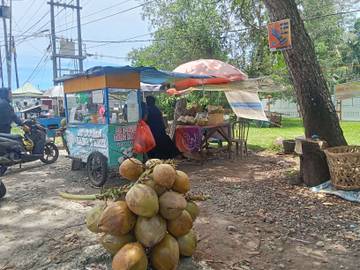 Buah Kelapa di Minati Menjadi Sumber Penghasilan Pedagang  