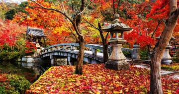 Festival Jepang Paling Memikat di Bulan November