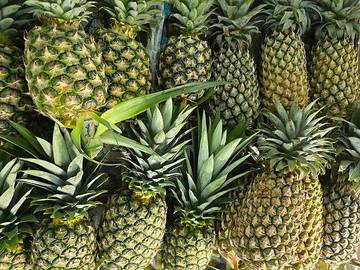 Peluang Bisnis Buah Nanas yang Menggiurkan