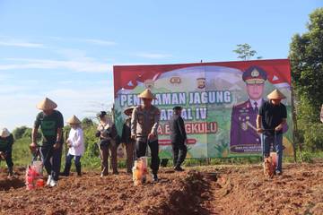 Ketahanan Pangan, Kapolda Bengkulu Pimpin Penananan Jagung