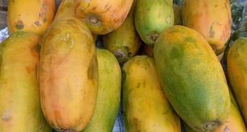 Pepaya Dinilai Baik untuk Diet Sehat