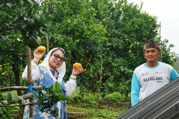Destita: Sunan Boonapel-Kebun Jeruk Suku Menanti Rekomendasi Wisata Tahun Baru 