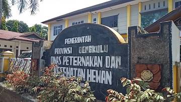 Pemprov Bengkulu Anggarkan Vaksin Rabies