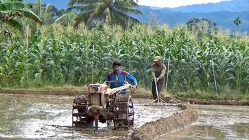 Bantuan Alsintan Untuk Mendukung Peningkatan Produktivitas Pertanian