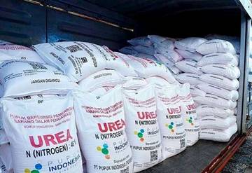 Alokasi Pupuk Subsidi Bengkulu Selatan  Berjumlah 6.600 Ton
