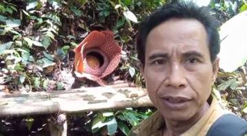 Konservasi Rafflesia Kepahiang Aktif Berbagi Informasi Rafflesia Mekar
