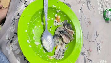 Tips Agar Anak Makan Nasi Auto Habis