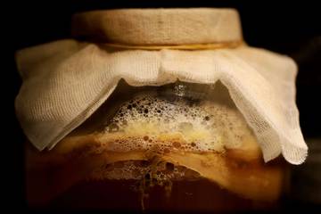 Proses Ternak Kombucha hingga Siap Minum