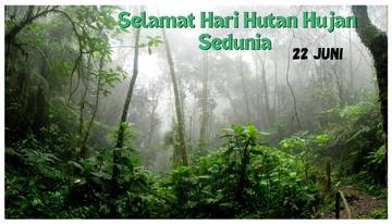 Makna Peringatan Hari Hutan Hujan Sedunia 22 Juni