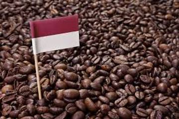 Kopi Indonesia Yang  Mendunia