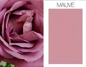 Mengenal Warna Mauve, Salah Satu Warna Unik