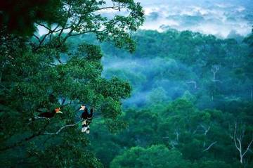 Kalimantan Menjadi Tujuan Destinasi Impian 2025