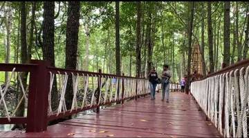 Keanekaragaman Spesies Mangrove di Desa Ruar Biak Numfor
