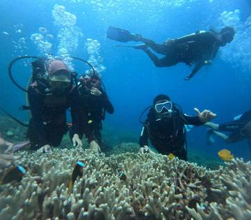 Gandeng Komunitas Diving, Lanudal Biak Kenalkan Wisata Bawah Laut Kepada ABK KRI BJM-592