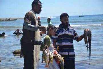 Molo, Balobe, Bameti, Membingkai Pesona Biak Numfor