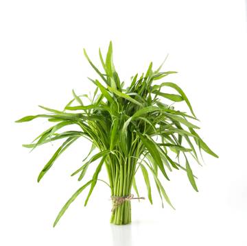 Mitos Atau Fakta Makan Kangkung Bikin Ngantuk? 