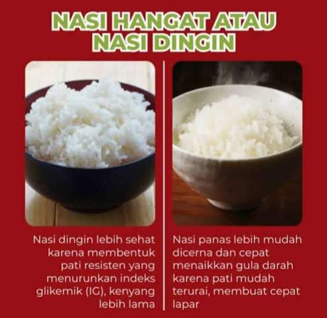 Nasi Hangat atau Dingin, Baik untuk Diet? 