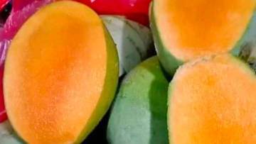 Manfaat Mengkonsumsi Buah Mangga 