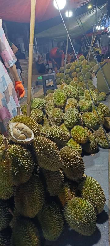 Musim Durian, Manfaat Yang Terkandung Didalamnya? 