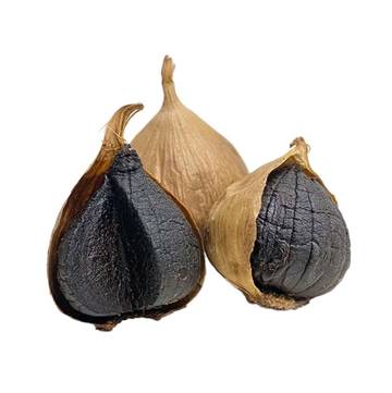 Apa si Manfaat Black Garlic itu?