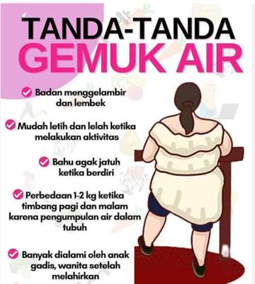 Apa Sih Badan Gemuk Air Itu?