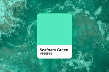 Trend Warna Tahun 2025