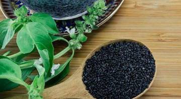 Manfaat Biji Kemangi Untuk Menurunkan Berat Badan