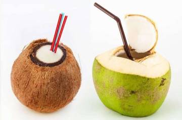 Manfaat Air Kelapa Muda dan Tua: Apa Bedanya?
