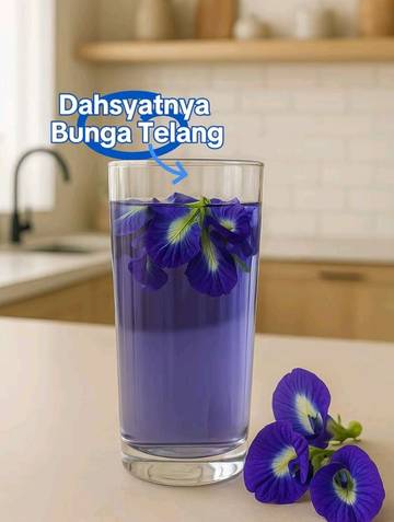 Manfaat Bunga Telang untuk Kesehatan dan Kecantikan