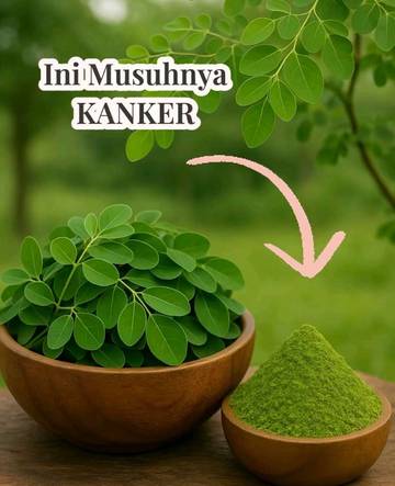 Khasiat Daun Kelor Untuk Kesehatan 