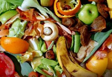 Pembuatan Pupuk Cair dari Limbah Sayur dan Buah