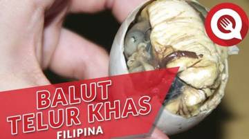 Apa Itu Telur Balut ?