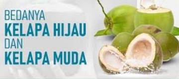 Perbedaan dan Manfaat Kelapa Hijau dan Kelapa Muda